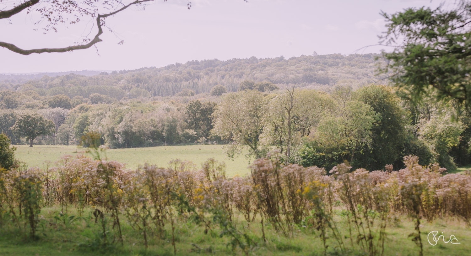 Highley Manor Wedding venue